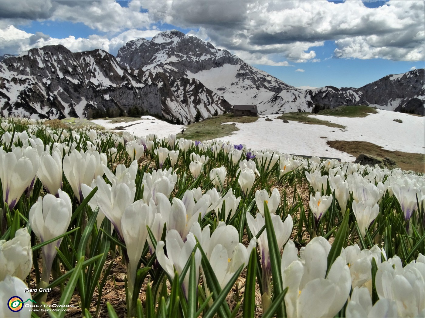 71 Mi abbasso alla Baita di Monte Campo (1878 m).JPG